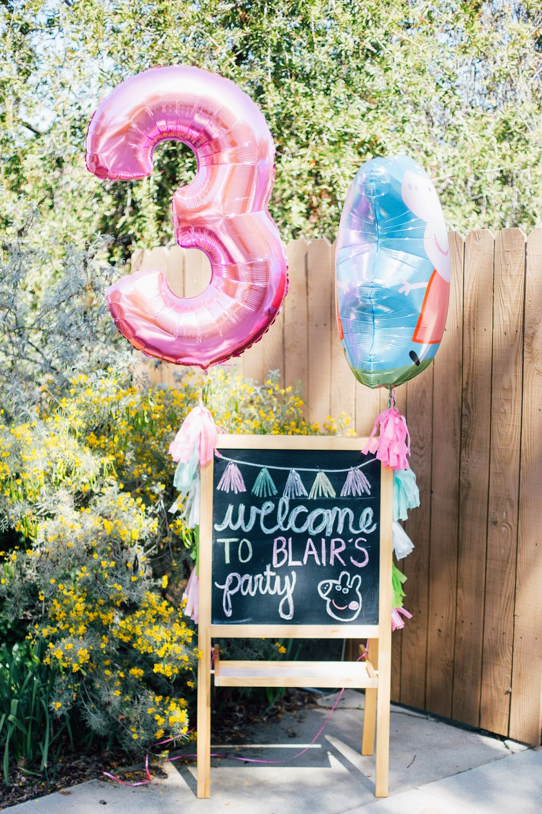 3Rd Birthday Party Ideas
 Nat your average girl Blair s 3rd Birthday Peppa Pig