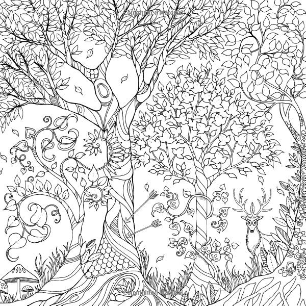 Amazon Adults Coloring Book
 Enchanted Forest An Inky Quest & Coloring Book Johanna