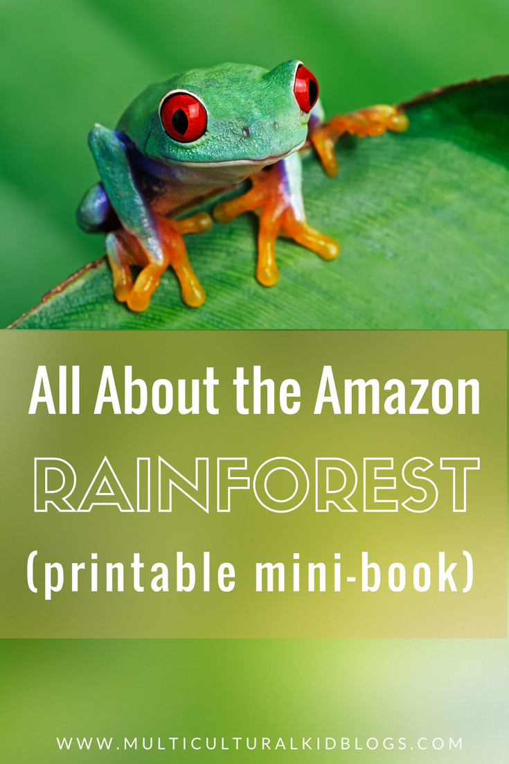 Amazon Kids Crafts
 The Amazon Rainforest for Kids with Free Printable Mini