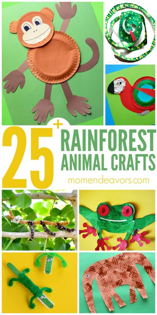 Amazon Kids Crafts
 25 Rainforest Animal Crafts for Kids