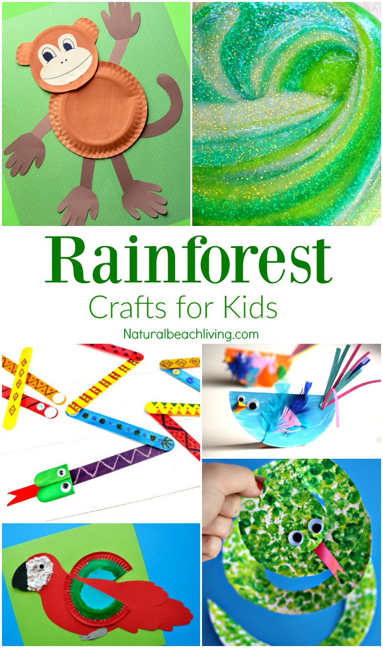 Amazon Kids Crafts
 The Best Rainforest Activities for Kids Theme Natural