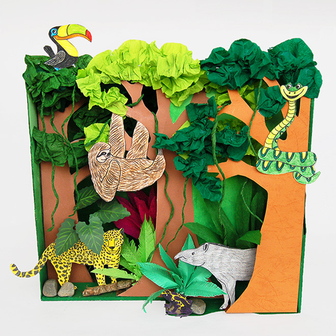 Amazon Kids Crafts
 Rainforest Habitat Diorama Kids Crafts
