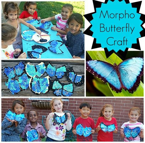 Amazon Kids Crafts
 Make a Tropical Blue Morpho Butterfly Craft