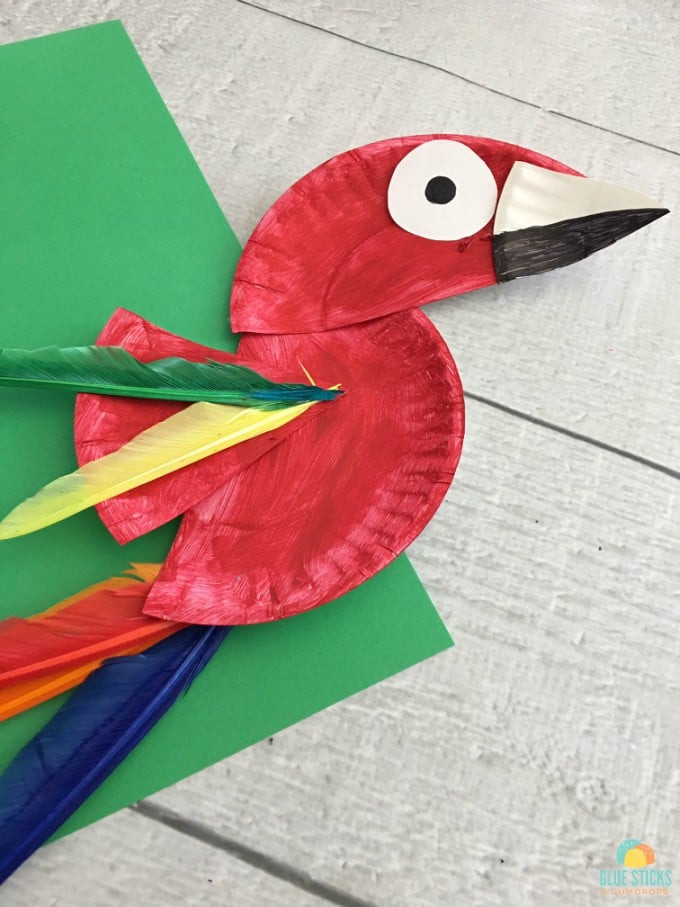 Amazon Kids Crafts
 Parrot Paper Plate Craft for Kids Rainforest Craft Idea