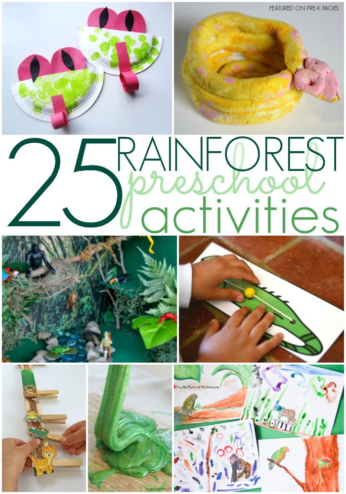 Amazon Kids Crafts
 Rainforest Activities for Preschoolers Pre K Pages