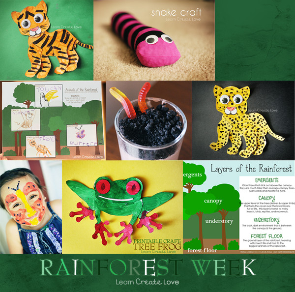 Amazon Kids Crafts
 rain forest craft ideas with printable patterns look