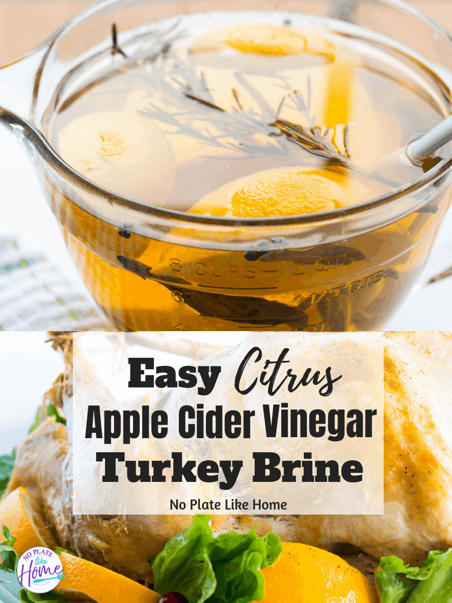 Apple Cider Vinegar Turkey Brine
 Turkey Brine with Apple Cider Vinegar No Plate Like Home