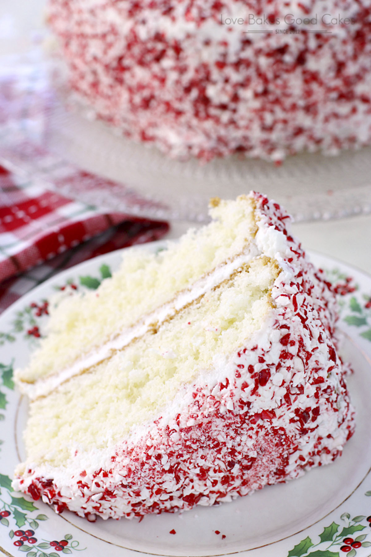 Best Christmas Cakes
 17 Easy Christmas Cake Recipes Best Holiday Cake Ideas