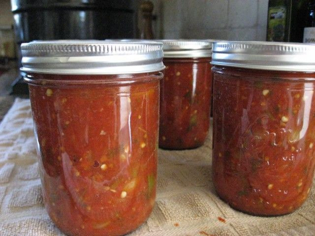 Chunky Salsa Recipe For Canning
 Best Home Canned Thick and Chunky Salsa Canning