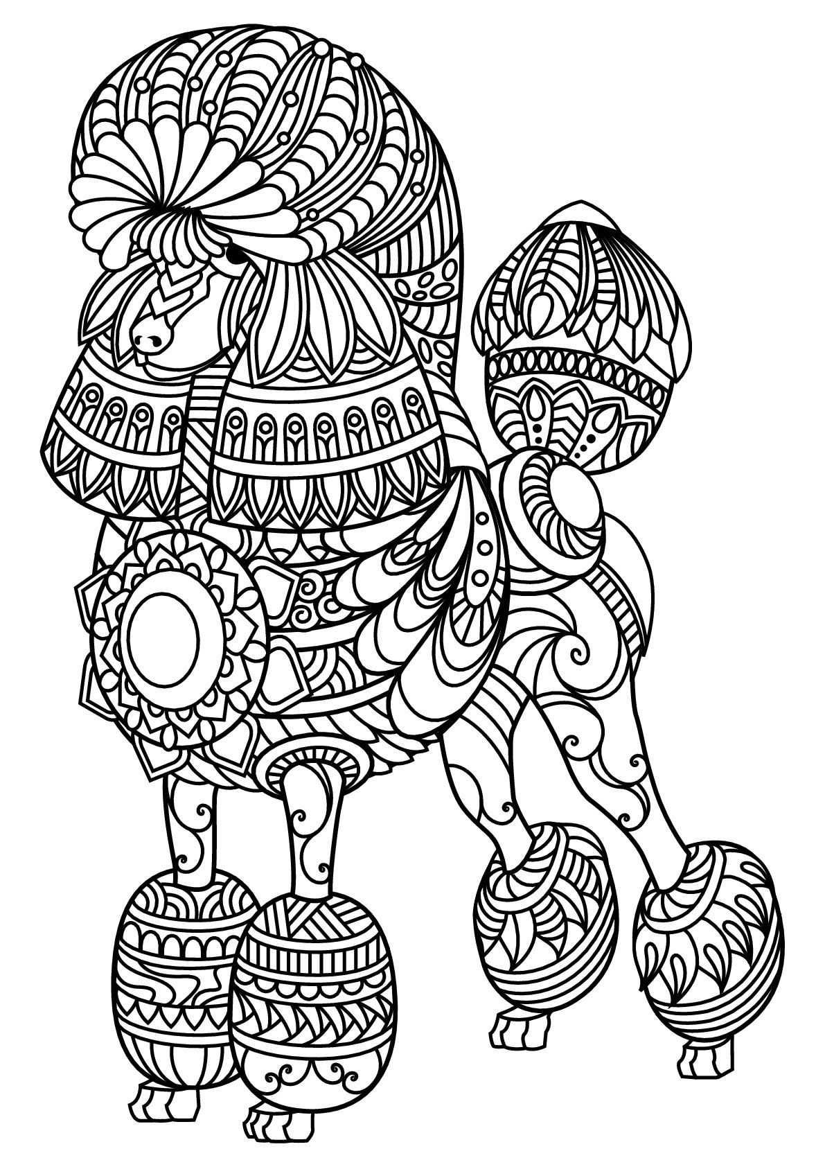 Coloring Pages For Adults Dogs
 Free book dog poodle Dogs Adult Coloring Pages