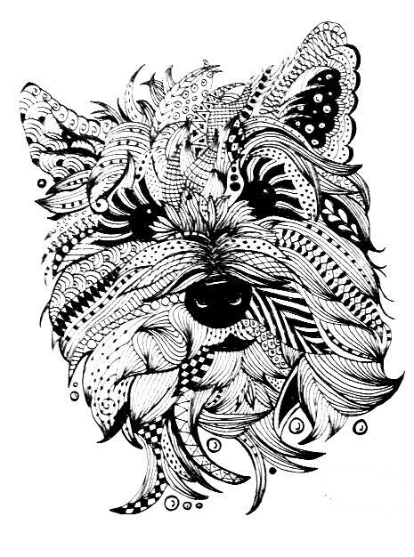 Coloring Pages For Adults Dogs
 Carin Terrier Doc My Love For Doc