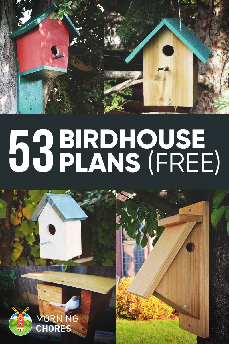 DIY Bird House Plans
 53 DIY Birdhouse Plans that Will Attract Them to Your Garden