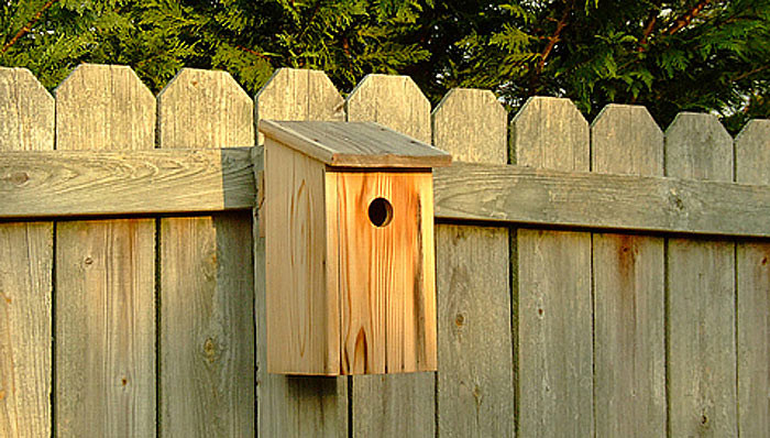 DIY Bird House Plans
 38 Free Birdhouse Plans