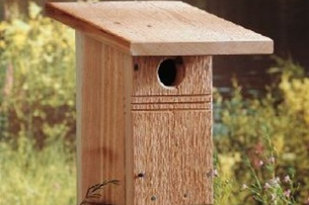 DIY Bird House Plans
 DIY Birdhouse for Bluebirds