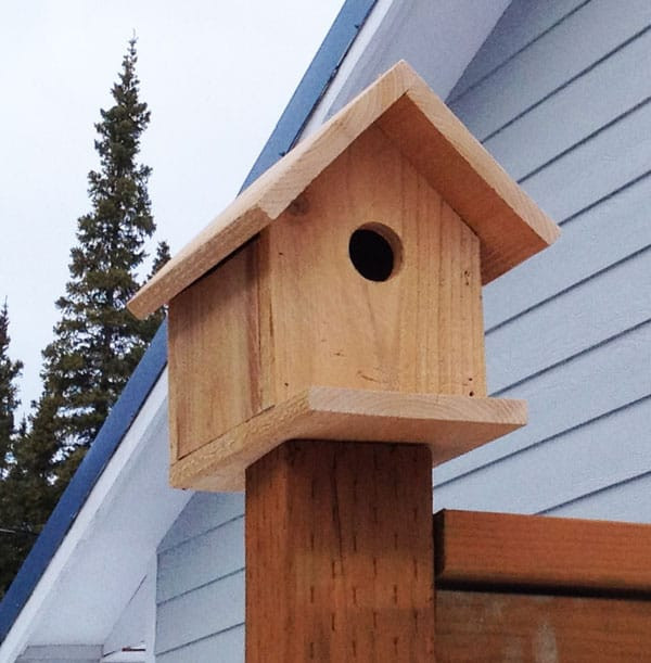 DIY Bird House Plans
 10 DIY Birdhouses For Your Feathered Friends