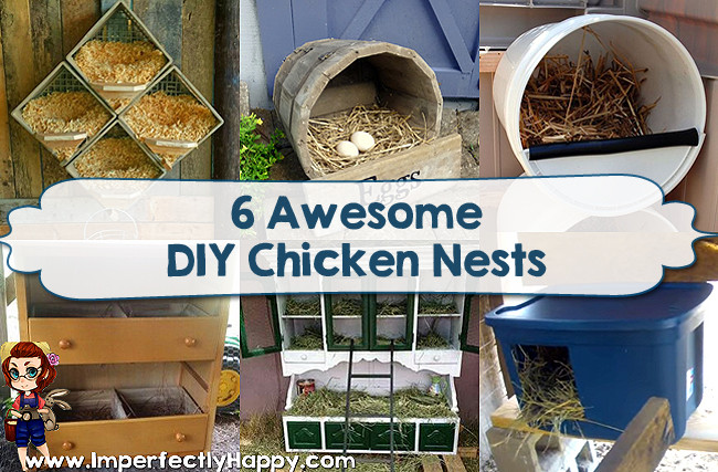 DIY Chicken Nest Box
 6 Awesome DIY Chicken Nests That Anyone Can Make