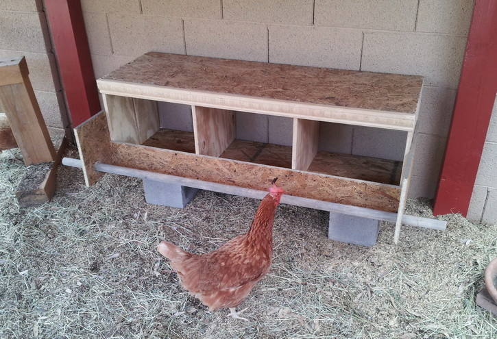 DIY Chicken Nest Box
 diy chicken nesting box 07