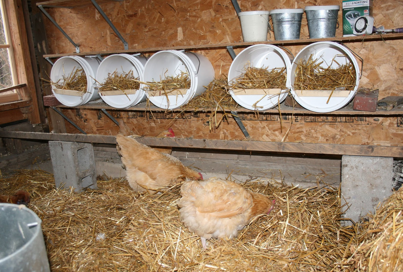 DIY Chicken Nest Box
 Bucket o Chicken