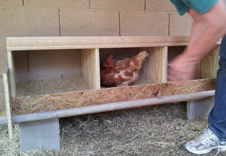 DIY Chicken Nest Box
 How To Build a Chicken Nesting Box