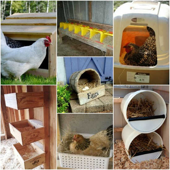 DIY Chicken Nest Box
 22 Chicken Approved Inexpensive Nesting Boxes