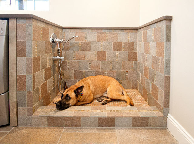 DIY Dog Baths
 15 Doggone Good Tips for a Pet Washing Station