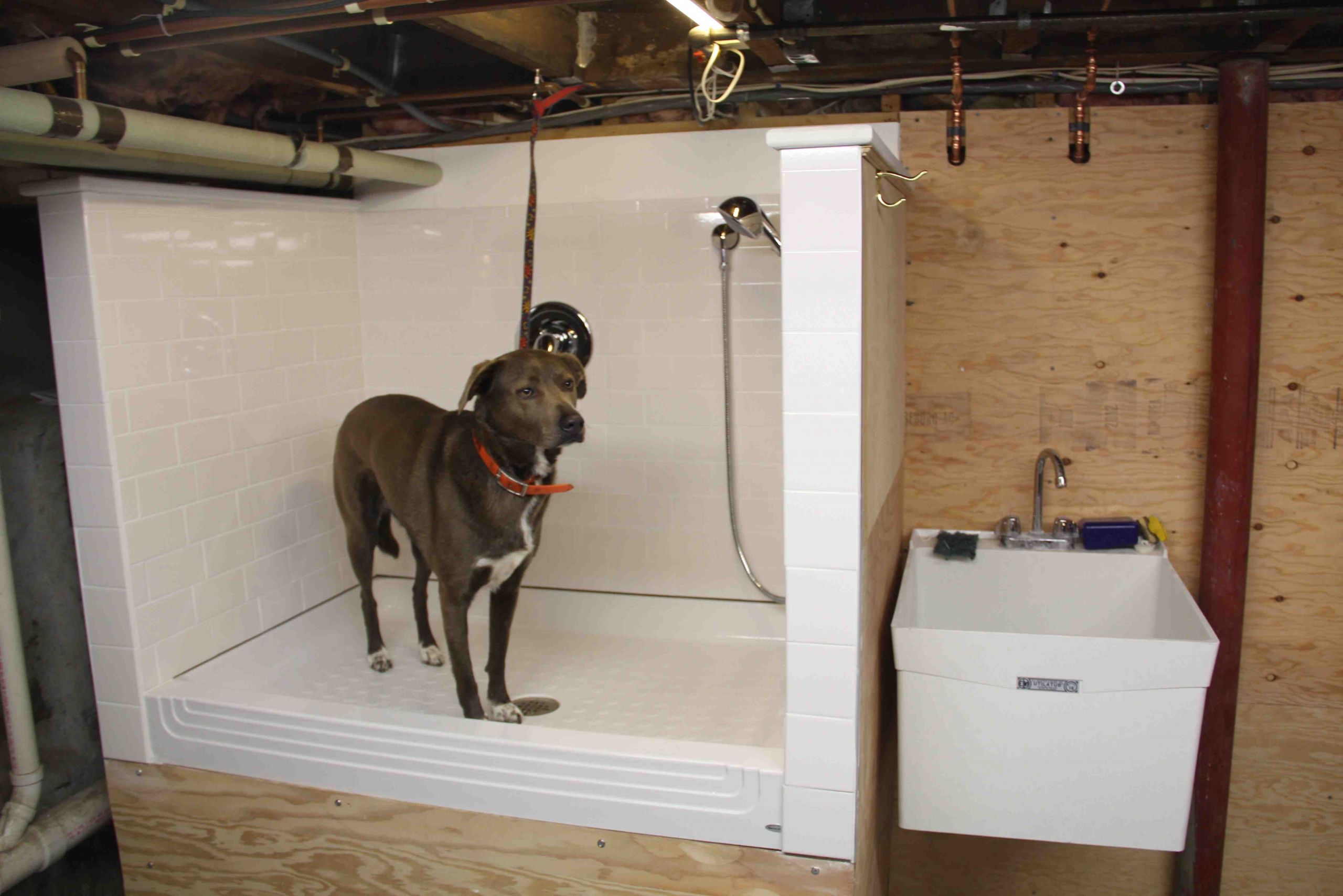 DIY Dog Baths
 How To Build A Dog Wash Station DIY