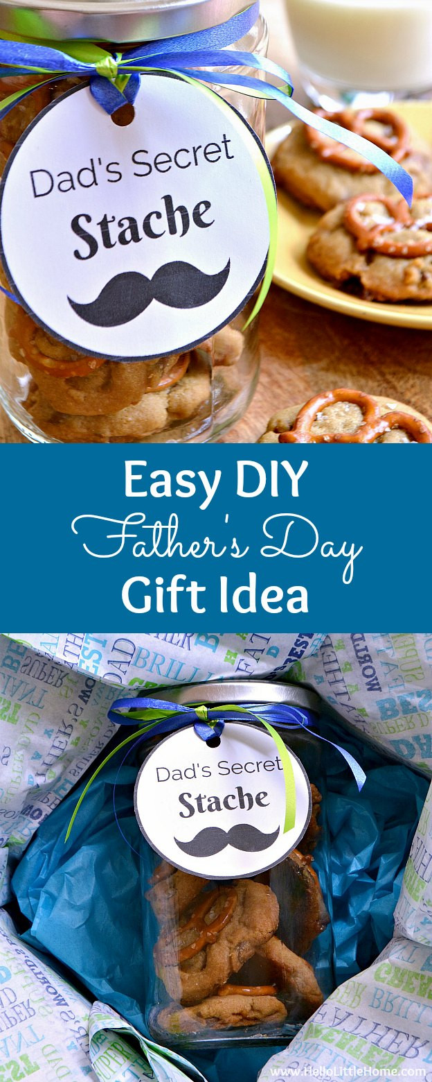 DIY Father'S Day Gifts From Wife
 Easy DIY Father s Day Gift Idea Dad s Secret Stache
