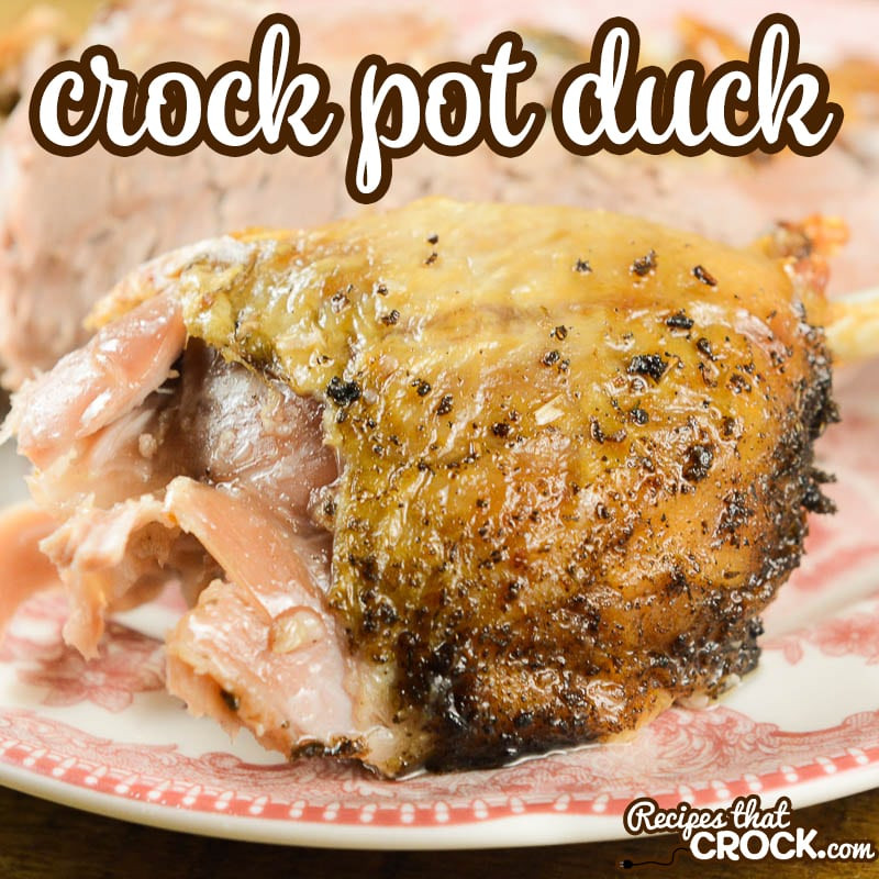 Duck Recipes Crockpot
 Crock Pot Duck Recipes That Crock