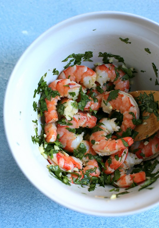 Easy Shrimp Appetizers
 Easy Cilantro Shrimp Appetizer – Debora Mary – Blog