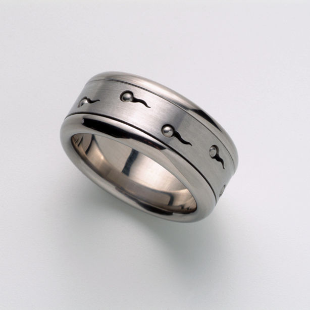 Gay Mens Wedding Bands
 Men s Spinning Ring Band Stainless Steel Gay Pride