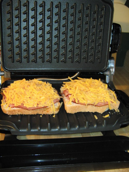 George Foreman Grill Recipes Panini
 George Foreman Evolve Grill Review