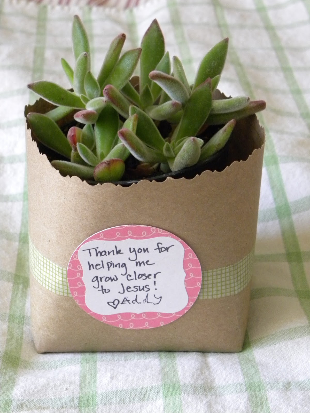 Gift Ideas Thank You
 Blissful Blooms A Simple and inexpensive Thank You Gift