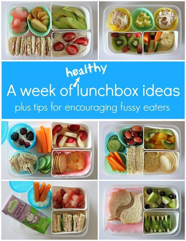 Healthy Snacks For Kids Lunch Boxes
 A Week of Healthy Lunch Ideas for Kids e Perfect Day