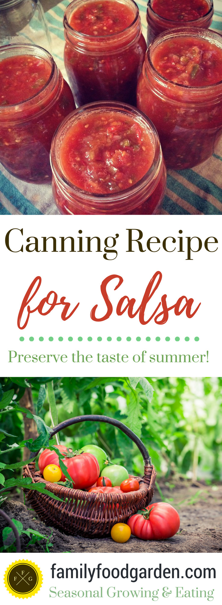 Hot Salsa Recipe For Canning
 Basic Tomato Salsa Recipe