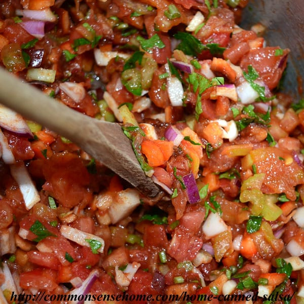 Hot Salsa Recipe For Canning
 Home Canned Salsa