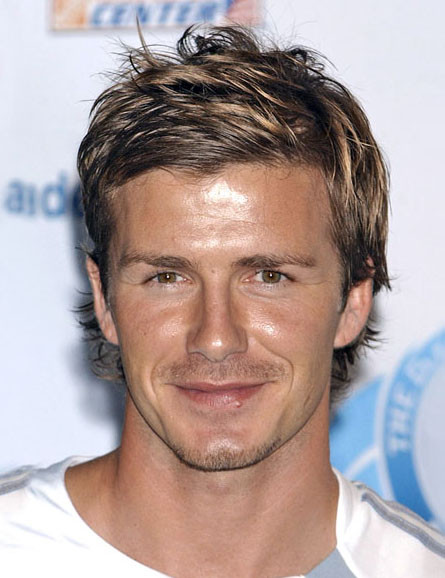 Mens Highlighted Hairstyles
 Mens Highlighted Hairstyles