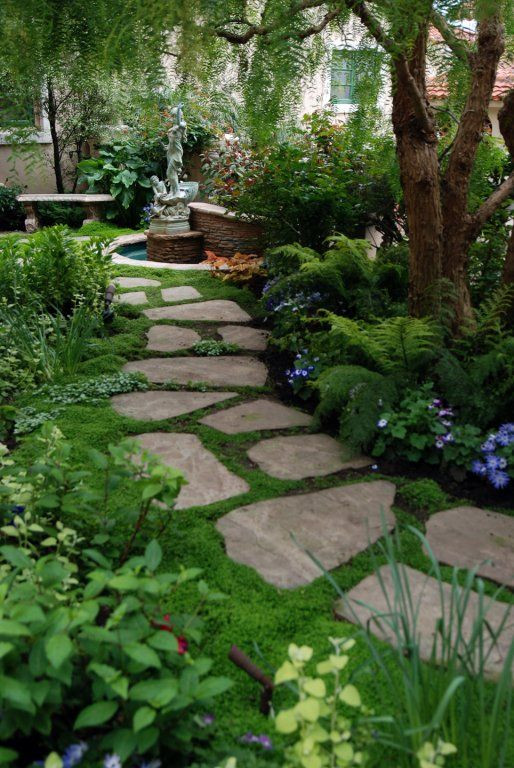 Outdoor Landscape Drawing
 Garden stepping stone path Yard
