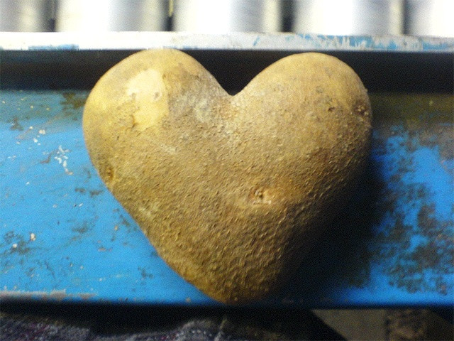 Potato For A Heart
 Heart shaped potato Heart to Heart