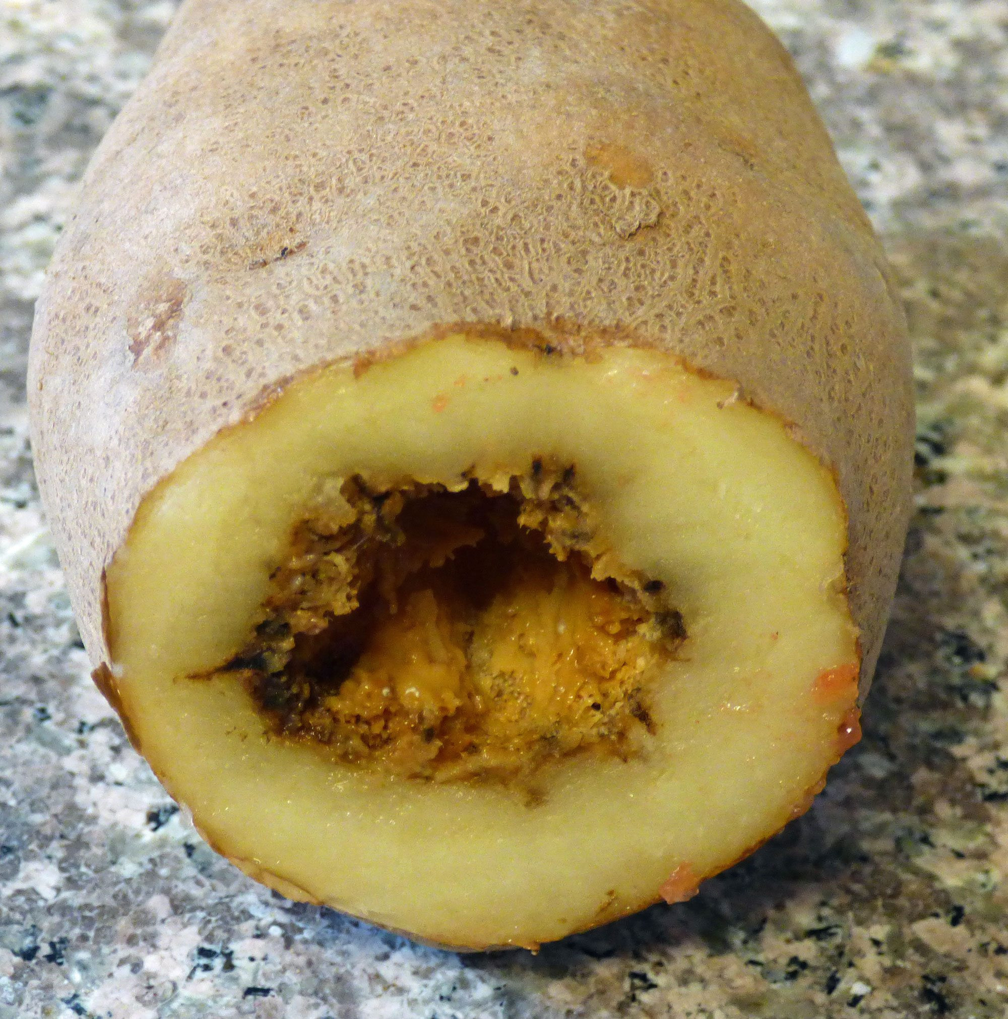 Potato For A Heart
 Hollow Heart Potato Disease Causes Potatoes With
