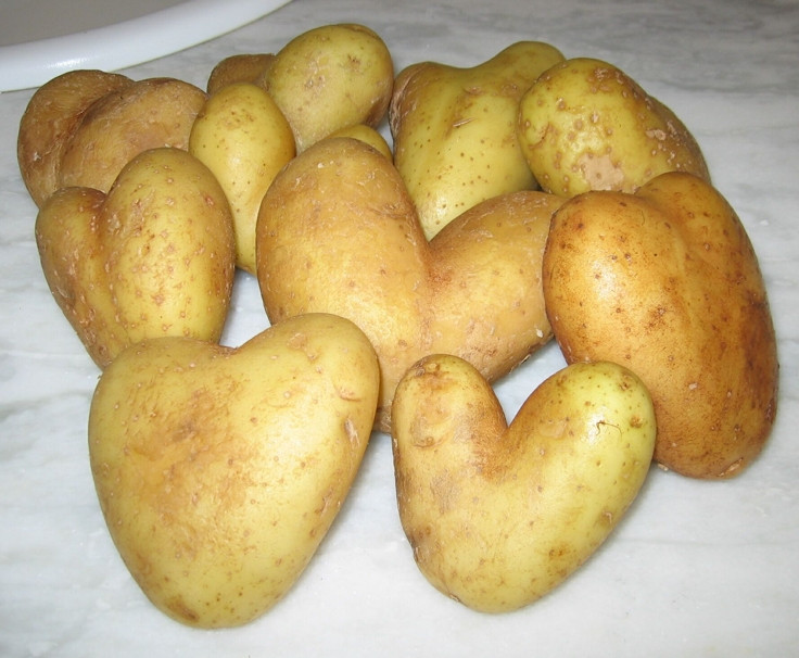 Potato For A Heart
 Instrumental bio munication with