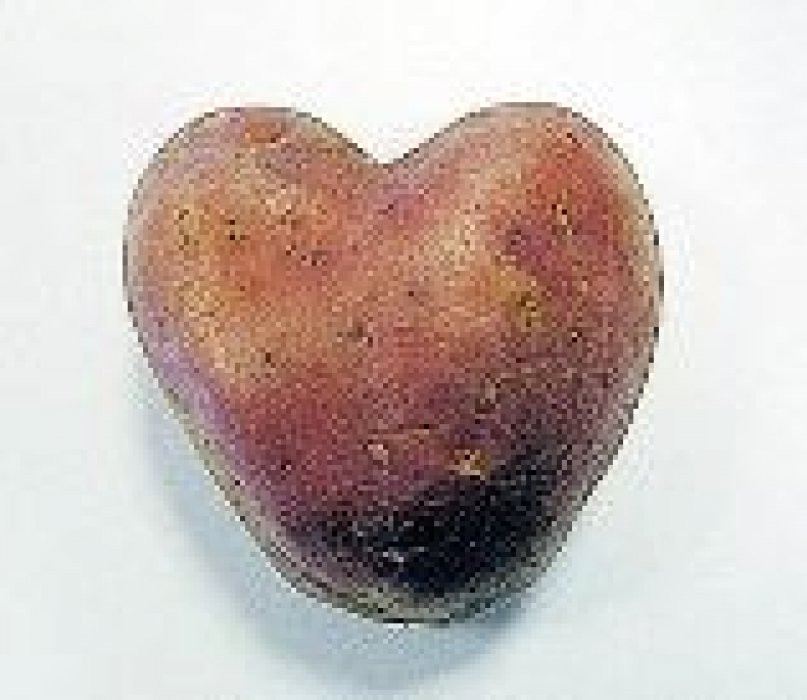 Potato For A Heart
 Tesco offers red heart shaped potatoes Franceline for