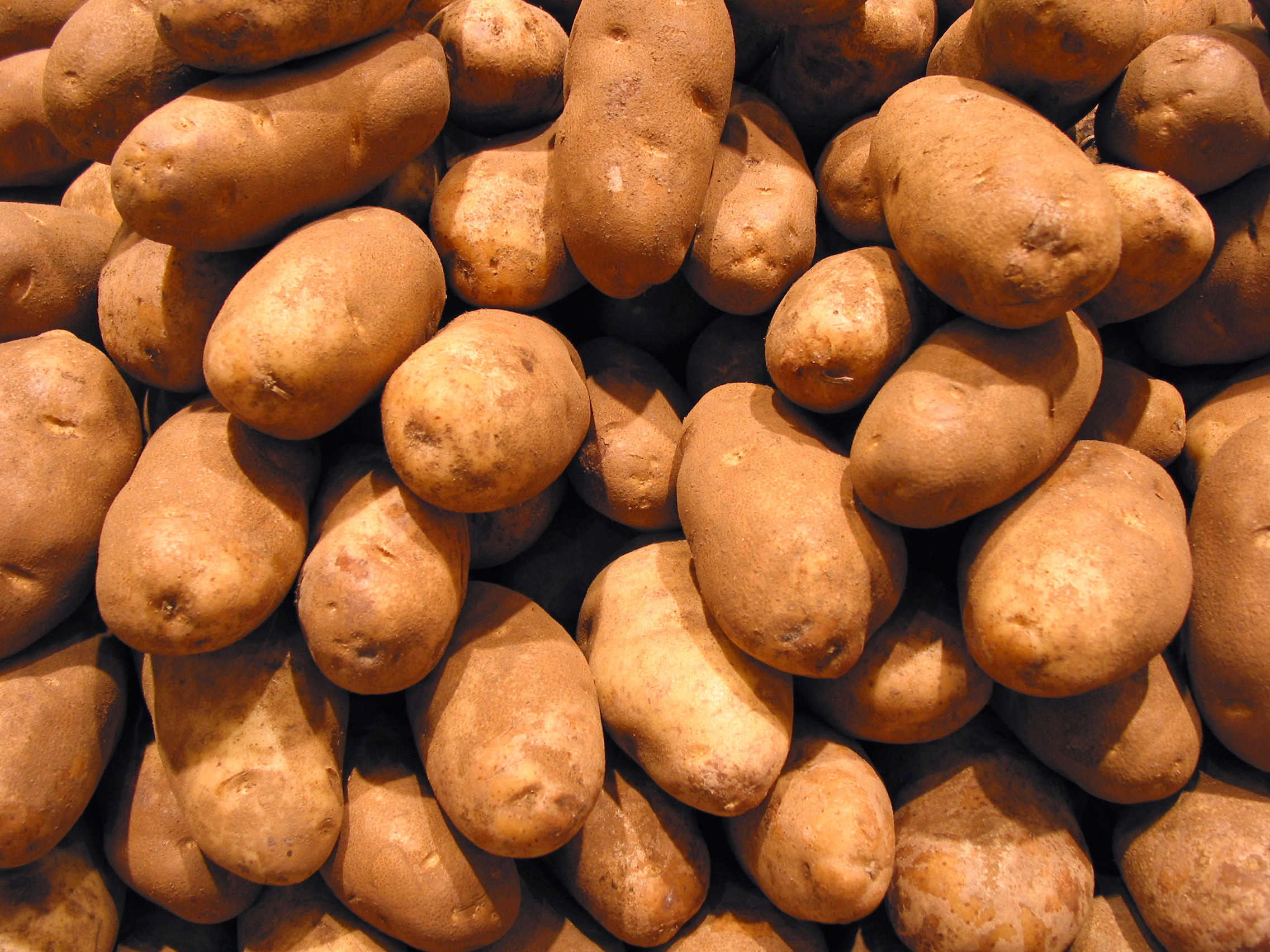 Potato Is A Vegetable
 Potato FREE Stock Image Picture Potatoes Tubers