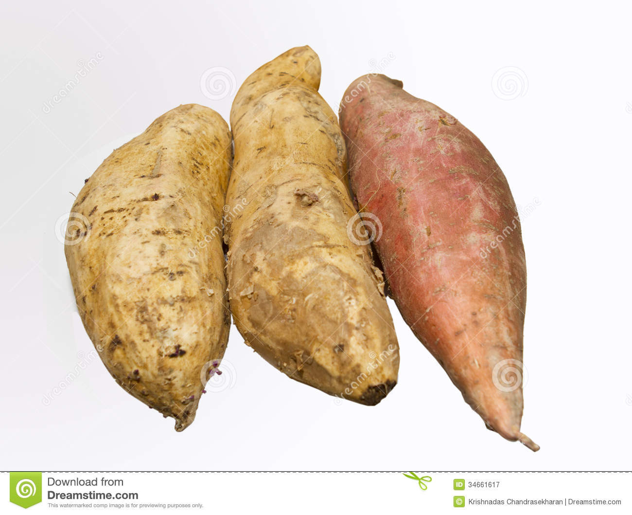 Potato Is A Vegetable
 Sweet potato stock image Image of brown harvest cooking