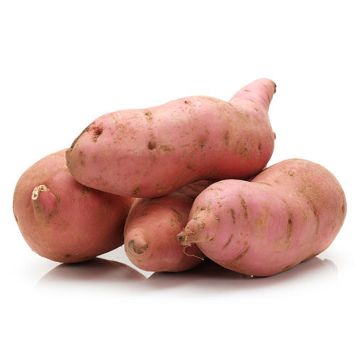 Potato Is A Vegetable
 Sweet Potato Root Ve able Various Uses Veggies Info