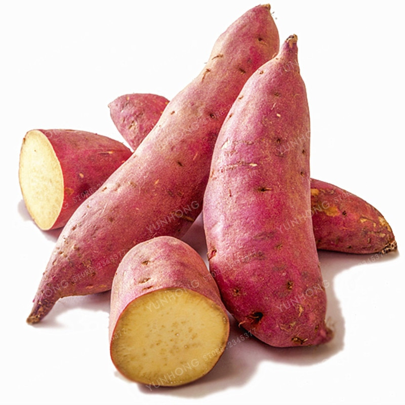 Potato Is A Vegetable
 Sweet Potato Seeds Ve ables Seeds Fresh Food Fruit And
