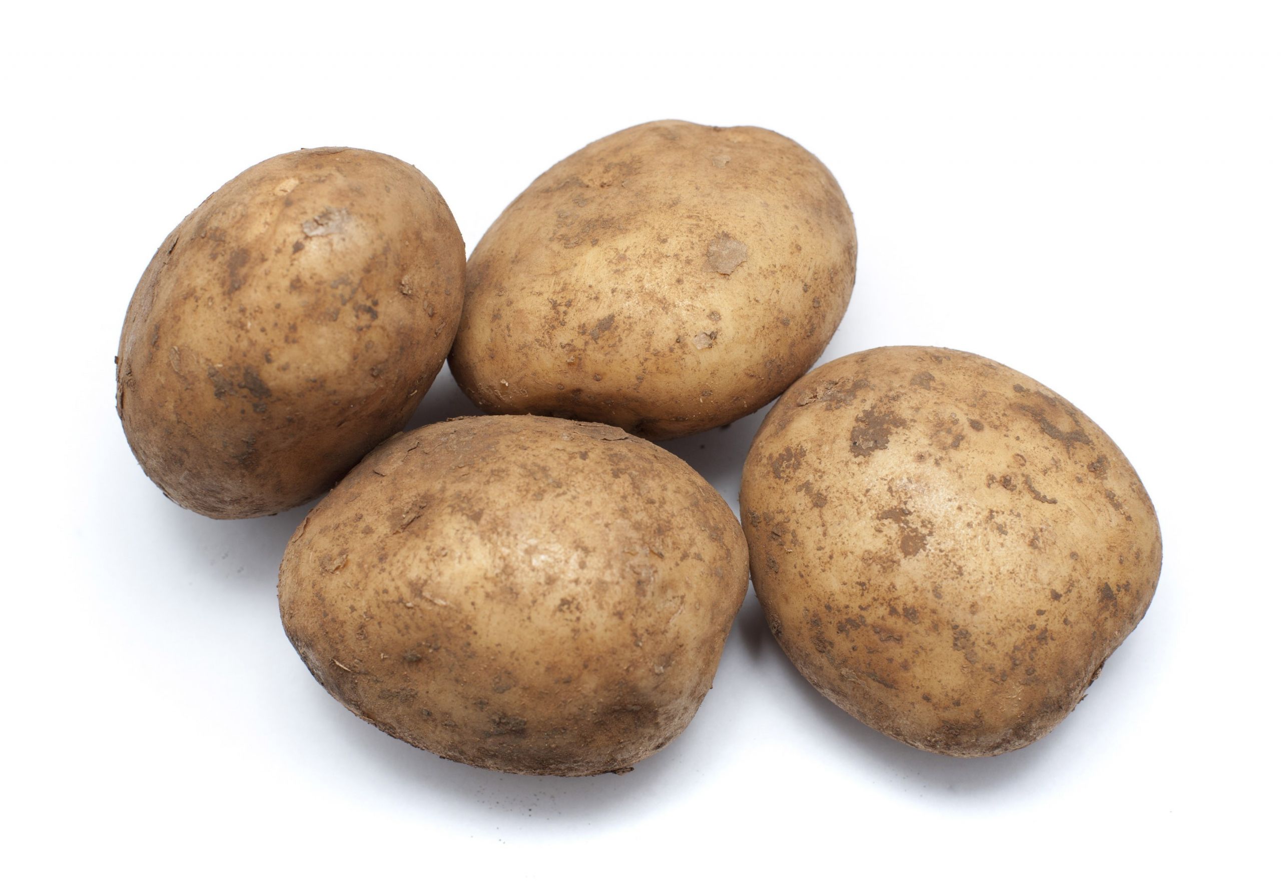 Potato Is A Vegetable
 Fresh uncleaned potatoes Free Stock Image