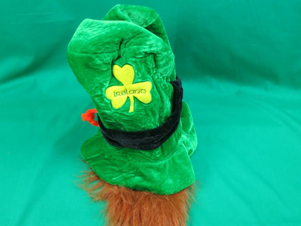 Saint Patrick's Day Activities
 FUNNY HAPPY ST PATRICK S DAY GREEN LEPRECHAUN HAT AND