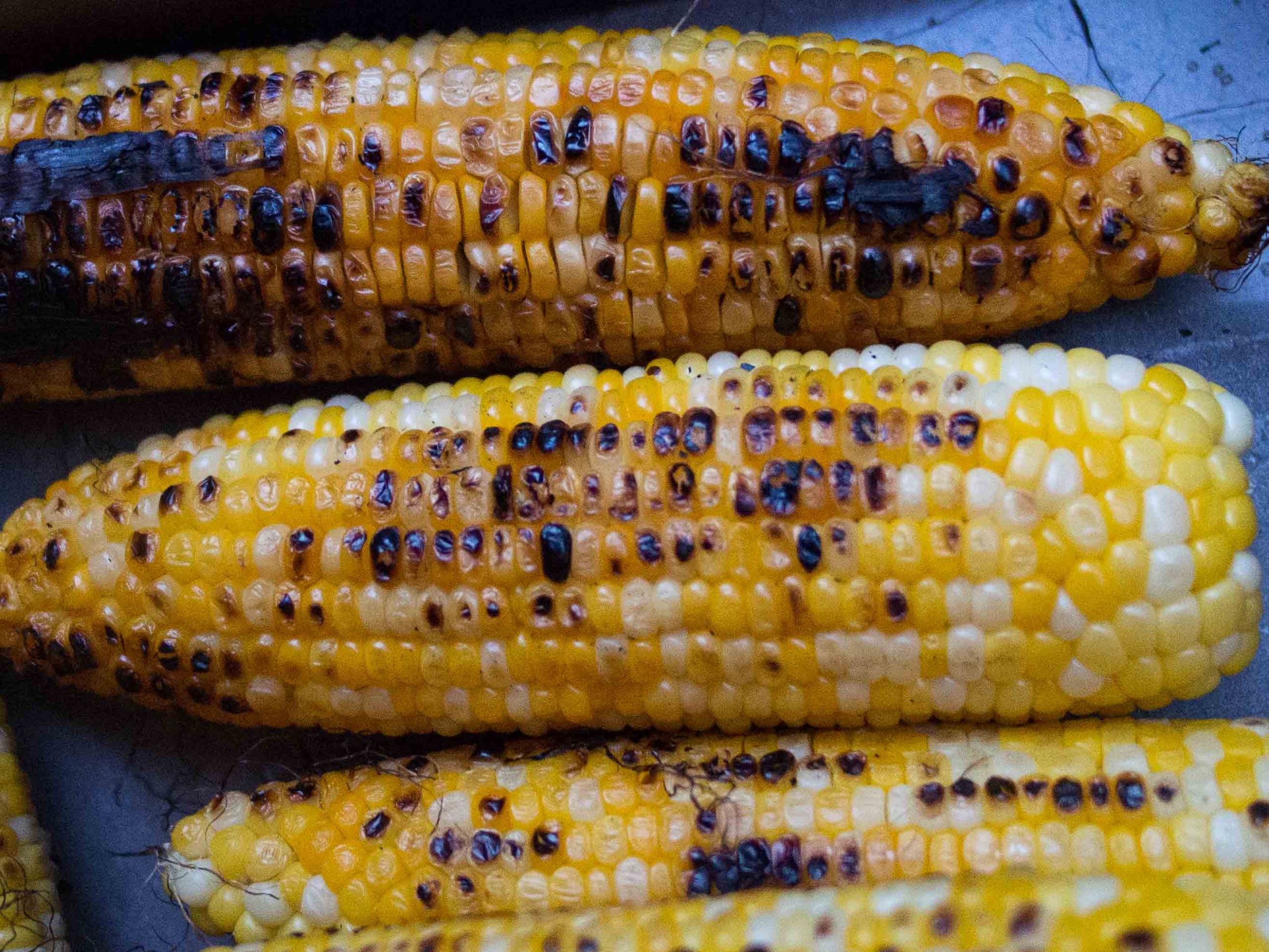 Sweet Corn On The Grill
 Sweet Corn Grilled in the Husk Food & Fire