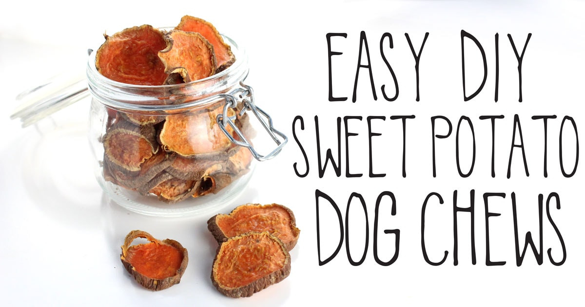 Sweet Potato Dog Chews
 Easy DIY Sweet Potato Dog Chews • It Doesn t Taste Like