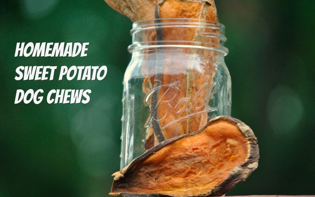Sweet Potato Dog Chews
 Easy To Make Sweet Potato Dog Chews My Brown Newfies